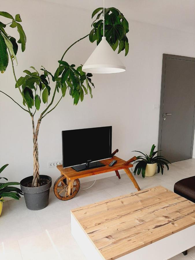 Green Bee Apartment Lesce  Esterno foto